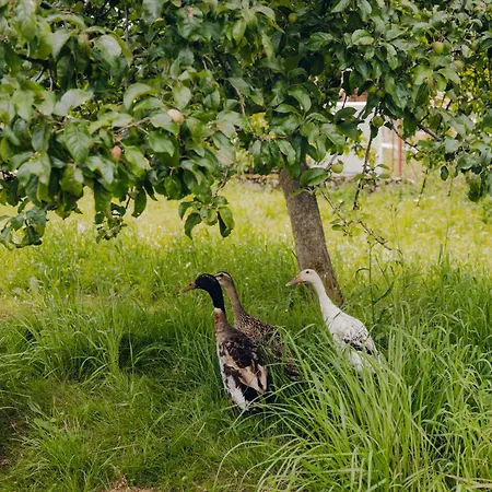 Na Konci Cesty Casa vacanze Hejna